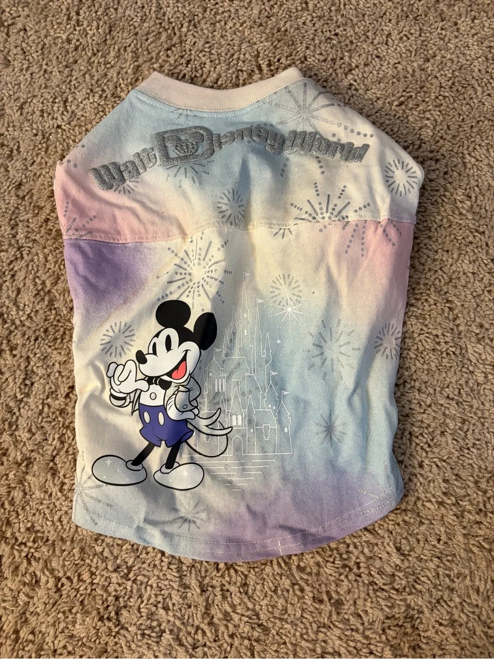 Disney Tails 100th Anniversary Pet Spirit Jersey